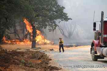Northern California wildfire threatens 500 buildings - Ealing Times