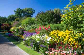 We're looking for the best 'Garden in Bloom' in Derby - In Your Area