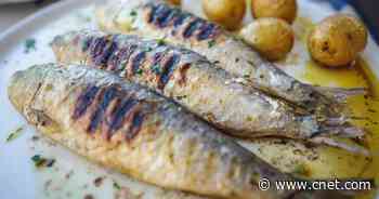 9 Best Fish to Grill This Weekend, According to an Expert     - CNET