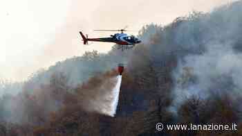 Incendio boschivo a Fornace di Lucca, abitazioni a rischio - LA NAZIONE