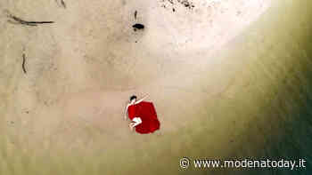 SuperCinema Estivo, apre la stagione il film Jungle Jazz - ModenaToday