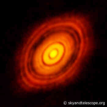 Citizen Scientists Detect Dusty Disks