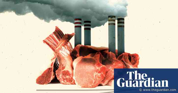 Meat, monopolies, mega farms: how the US food system fuels climate crisis