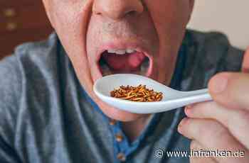 Insekten als Nahrung: Krabbelt unser Essen der Zukunft?