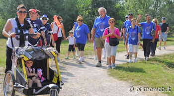 Cerea, domenica si corre la 24. podistica “Stracerea” - PrimoWeb