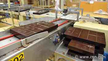 Enormous chocolate factory shuts over salmonella outbreak