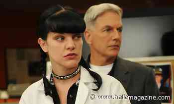 All we know about NCIS' Pauley Perrette and Mark Harmon's feud - HELLO!
