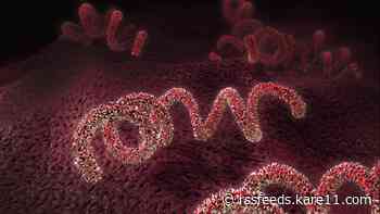Annual MDH report shows continued rise in syphilis cases