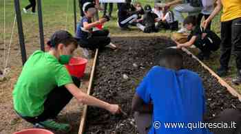 Polpenazze, “Scavando si impara”: archeologi in erba al Lucone - QuiBrescia.it