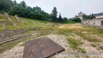 Intanto il Teatro romano sembra la savana: erba alta e molto secca - il Resto del Carlino