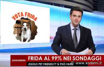 A Jesolo alle amministrative c’è anche una candidata sindacan: il suo nome è Frida - Kodami