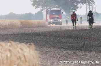 FW Celle: 30.000 m² Stoppelfeld brennen in Garßen