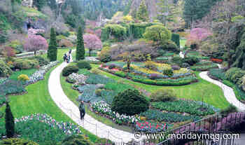 Evening entertainment is back at The Butchart Gardens - Monday Mag