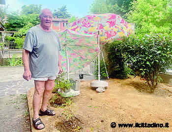 Siccità, a Codogno nei giardini spuntano gli ombrelloni per aiutare le piante in difficoltà VIDEO - Il Cittadino