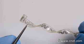 By Wrapping Around Nerves, New Pain Relief Prototype Could Address the Opioid Crisis     - CNET