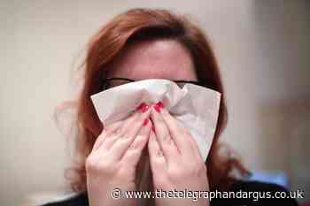 Bradford third-best place for hay fever sufferers, says Exubia - Telegraph and Argus