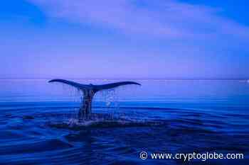 Ethereum ($ETH) Whales Bet on Shiba Inu as $SHIB Burns Keep Growing - CryptoGlobe