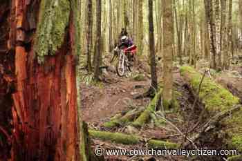 North Cowichan aims to stop illegal trail building on Mount Richards – Cowichan Valley Citizen - Cowichan Valley Citizen