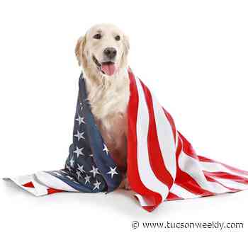 Pima Animal Care Center offers tips for prepare for Fourth of July