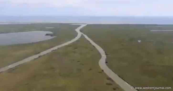 Russia Surrenders Ukraine's Snake Island After Shelling, Intense Combat Throughout War