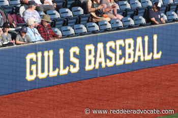 Big eighth inning by Sylvan Lake Gulls propels them to win over Beavers - Red Deer Advocate