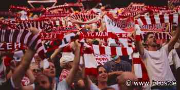Digitaler Service bringt Fans noch näher an den 1. FC Köln - FOCUS Online