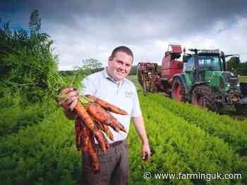 Final harvest for St Helens farm business as it appoints administrator - FarmingUK