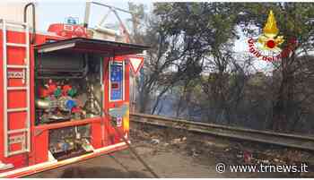 Brindisi - Il caldo intenso provoca incendi, ma ci sono responsabnilità anche per i mancati controlli - TeleRama News