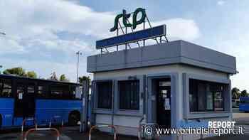 Assemblea dei soci Stp Brindisi, approvato il bilancio 2021 - BrindisiReport