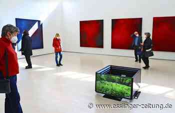 Anette C. Halm stellt in Ostfildern aus - Kunstspaziergang für Mit-Läufer - esslinger-zeitung.de