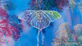 B.Fly Summer Festival Fregene