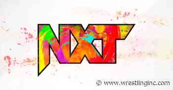 WWE NXT Star Out Of Action With An Injury - Wrestling Inc.