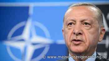 Erdogan droht mit neuer Nato-Blockade – EU ebnet Russland Weg nach Kaliningrad