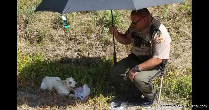 Kind-Hearted State Trooper Rescues Suffering Dog on Side of the Highway, Ends Up Adopting Her