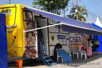 Inscrições abertas para castração de cães e gatos em Itapevi - Visão Oeste