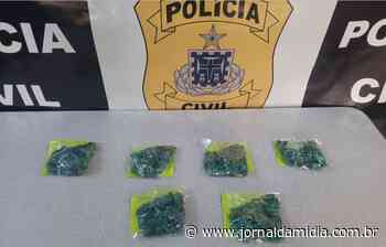 Mais de mil pedras esmeraldas são apreendidas pela polícia em Campo Formoso - Jornal da Mídia