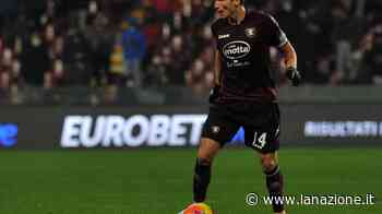 Ternana, Francesco Di Tacchio è il primo acquisto Anche il Benevento su Alfredo Donnarumma - LA NAZIONE