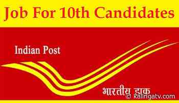 India Post recruitment 2022: Notification for fresh vacancies in 7th CPC scale released, check details - Kalinga TV
