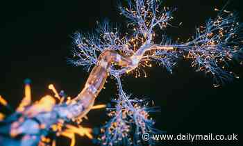 Anti-anxiety drugs can interfere with a person's neurons and increase risk of cognitive decline