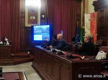 Dieta mediterranea, da Bari all'Ue una petizione per promuoverla - Agenzia ANSA