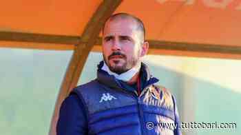 GdS - Bari, Polito prepara un tris di colpi in entrata - BARI CALCIO