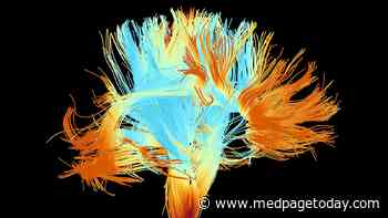 Brain Changes Diverge Between Men and Women