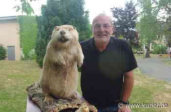 Umweltwochen an Schulen - Wenn der Biber in den Unterricht kommt - Nordbayerischer Kurier