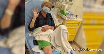 Dog owner facing charges in connection with attack on Hamilton woman near Chedoke Radial Trail