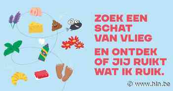 Ga op fietstocht door Olen en vind de schatkist van 'Vlieg' - Het Laatste Nieuws