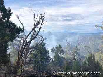 Crews fight new wildfire north of Norwood in Uncompahgre Forest - The Durango Herald