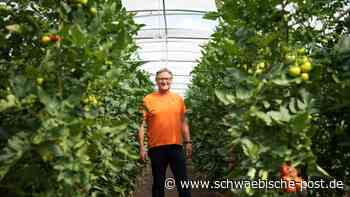 Wo Tomaten, Gurken & Co. wachsen - Schwäbische Post