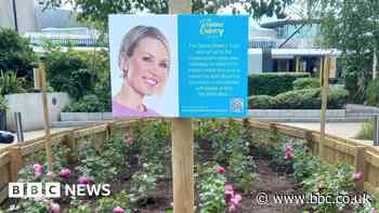 Dianne Oxberry: Rose garden opens in memory of presenter