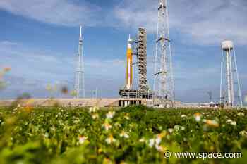 Watch NASA roll huge Artemis 1 moon rocket off the pad Friday