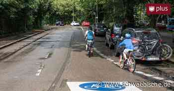 Ausbau des Bodenseeradwegs geht in Lindau weiter: Bregenzer Straße wird offiziell Fahrradstraße - Schwäbische